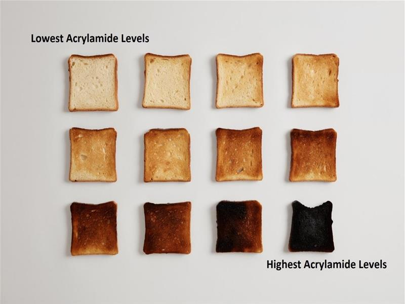 Nine pieces of toast ranging from undercooked to burnt, indicating acrylamide levels.